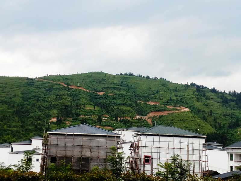 6米樹脂瓦價(jià)格表 6米樹脂瓦價(jià)格表