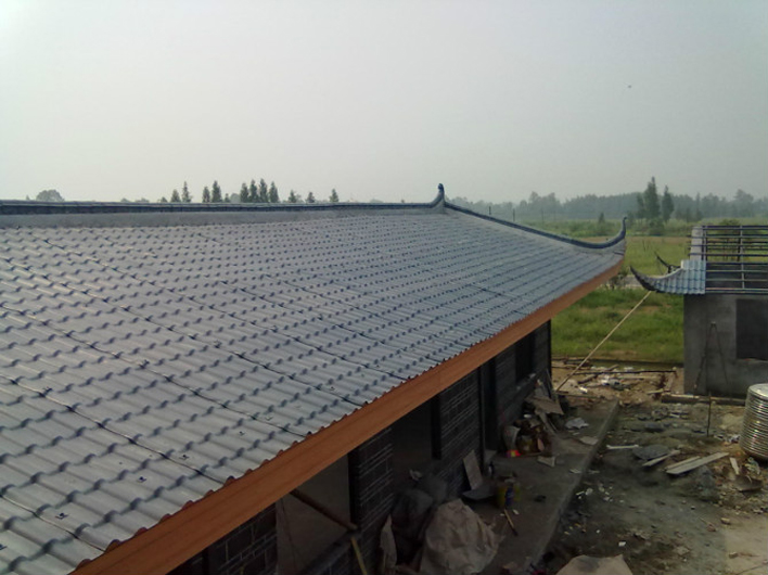 大邑農(nóng)家樂(lè)合成樹(shù)脂瓦工程